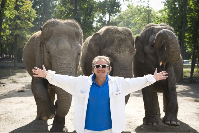 Szeretnek minket a híres emberek! cikk kiemelő képe