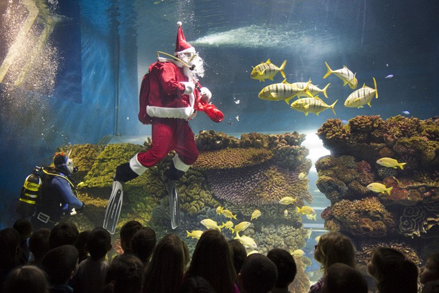 Mikulás az óceán mélyén! cikk kiemelő képe