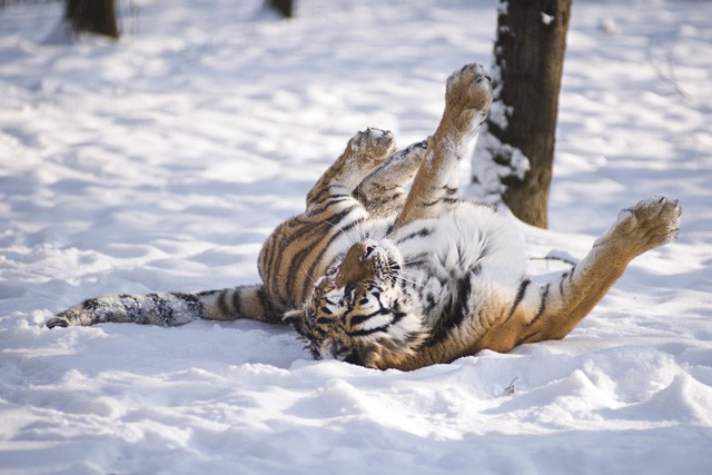 Fagyosan köszöntött ránk a február cikk kiemelő képe