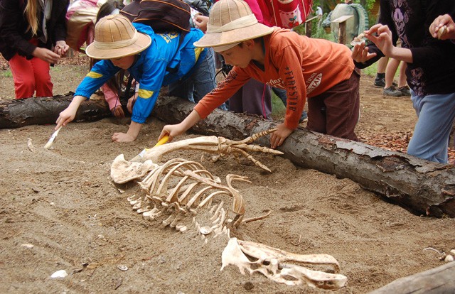 IdőutaZoo cikk kiemelő képe