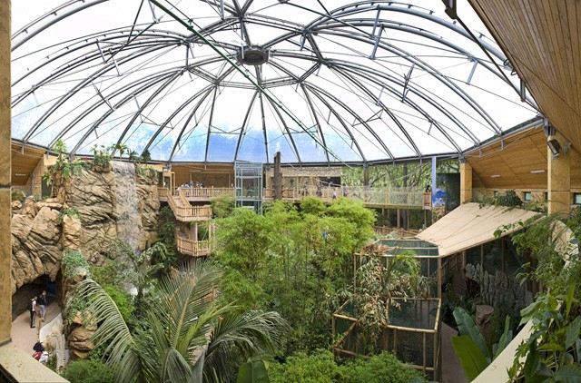 Nemzetközi siker! Újabb díjat nyert a Zöld Piramis! cikk kiemelő képe