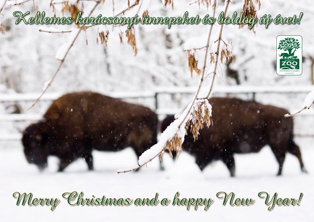 Kellemes Ünnepeket! cikk kiemelő képe