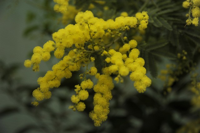 Tavasz az Állatparkban! cikk kiemelő képe