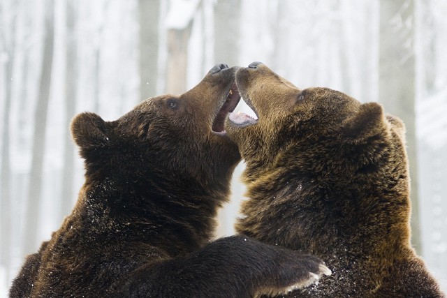 Közeleg a kikelet! cikk kiemelő képe