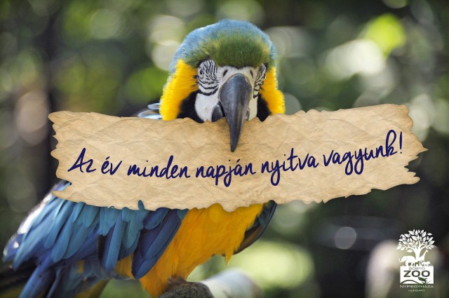  cikk kiemelő képe
