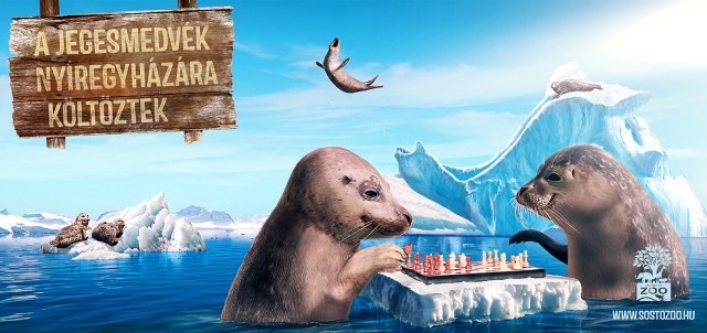 Az év harmadik legkreatívabb kampánya a Nyíregyházi Állatparké cikk kiemelő képe