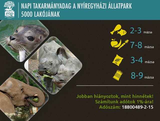 Jobban hiányoztok, mint hinnétek! cikk kiemelő képe