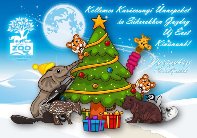 Kellemes Ünnepeket kívánunk cikk kiemelő képe