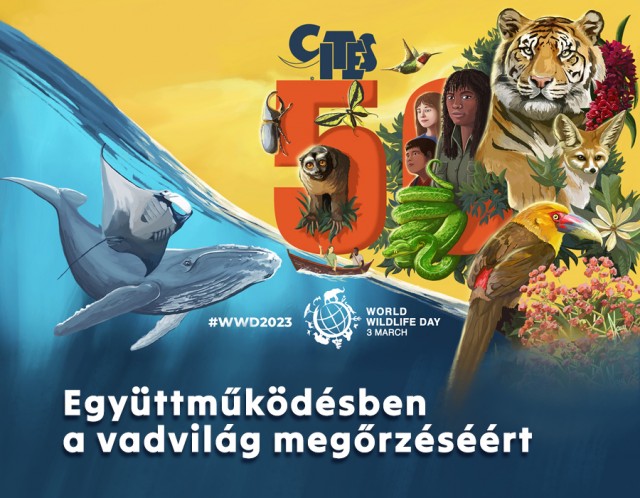 Ma van a Vadvilág Világnapja-- 50 éves a CITES cikk kiemelő képe