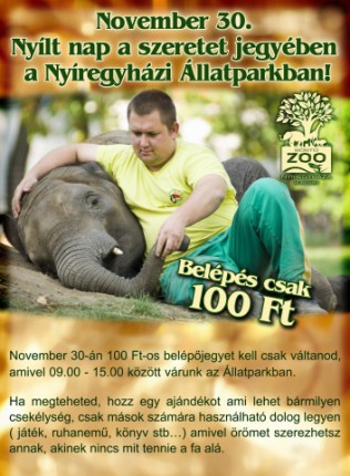 100 Ft-os nap, a szeretet jegyében! cikk kiemelő képe