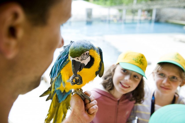 Újra indul a Zoo-suli! cikk kiemelő képe